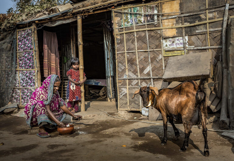 Impression of Bangladesh - Harmony